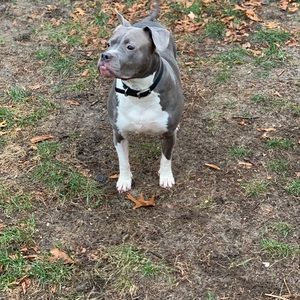 Meet your Posher, Jesse